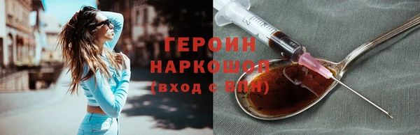 гидра Богородицк