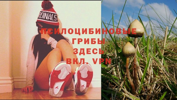 гидра Богородицк