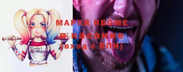 гидра Богородицк