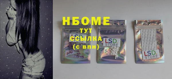 гидра Богородицк