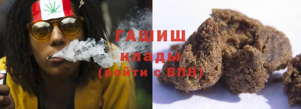 гидра Богородицк