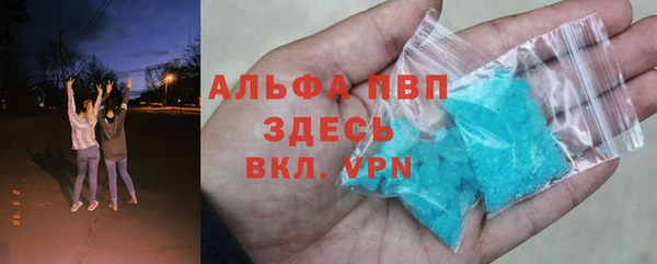 гидра Богородицк
