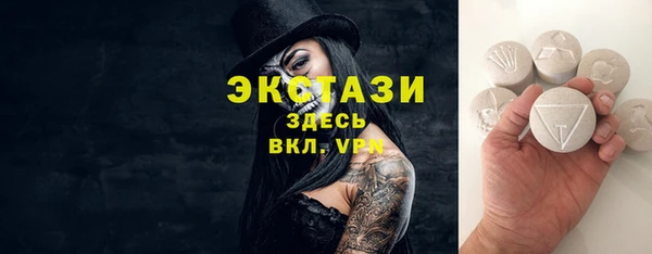 гидра Богородицк