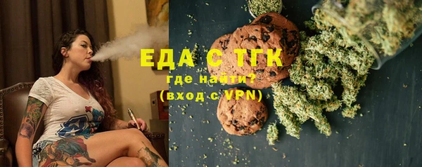 гидра Богородицк