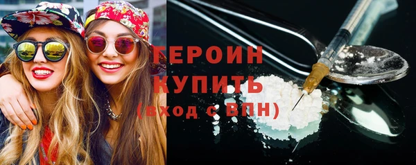 гидра Богородицк