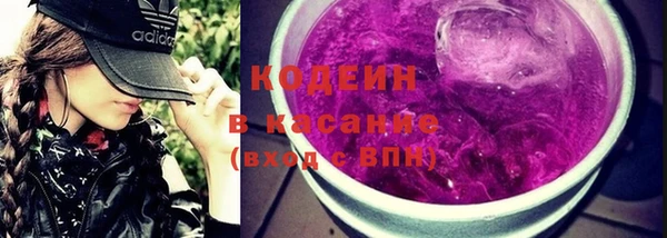 гидра Богородицк