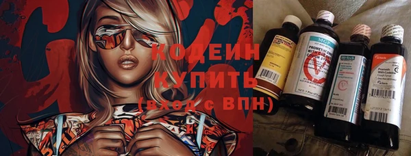 гидра Богородицк
