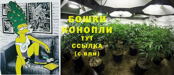 гидра Богородицк