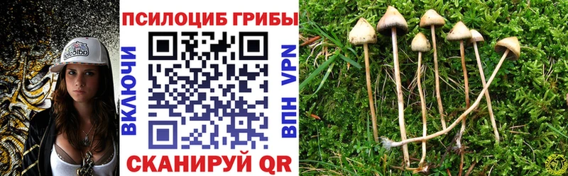 Псилоцибиновые грибы Psilocybine cubensis  Купить закладки  Ливны 